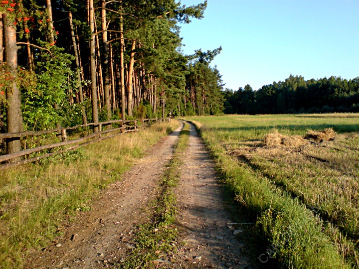 okolice Woli Dużej